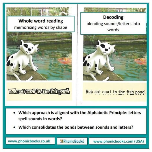 Decoding Vs Reading Whole-word reading vs decoding – why does it matter? – Phonic Books UK