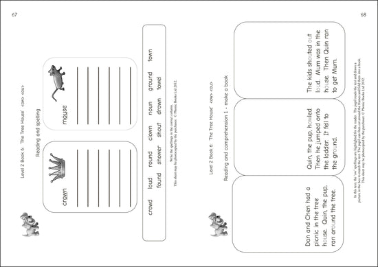 Dandelion Readers Reading and Spelling Activities Vowel Spellings Level 2