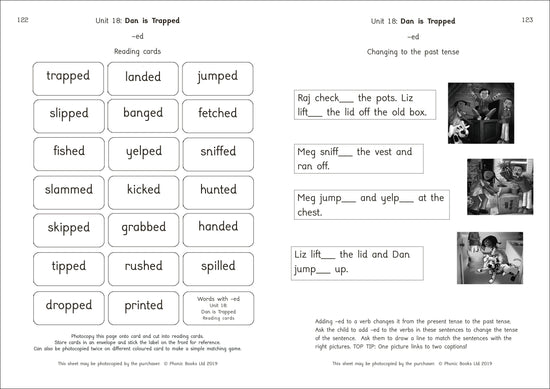 Dandelion Readers Reading and Writing Activities Set 2 Units 11-20