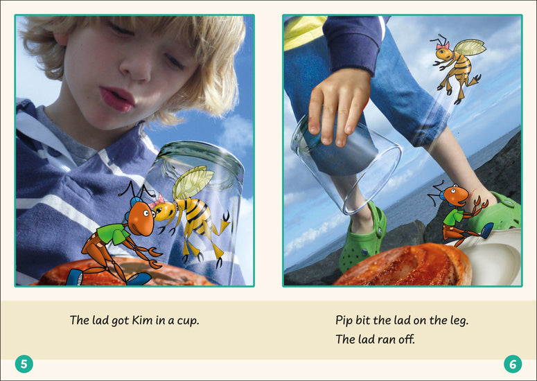 Dandelion Readers Set 1 Units 1 10 Phonic Books Uk