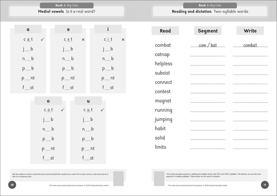 Phonic Books The Fact Files 2 Activities
