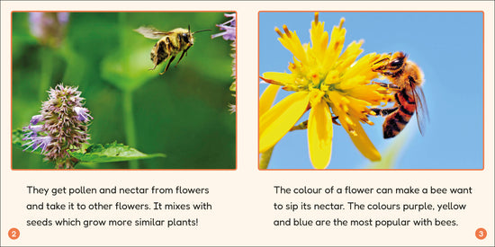 9780241775202-spread-5