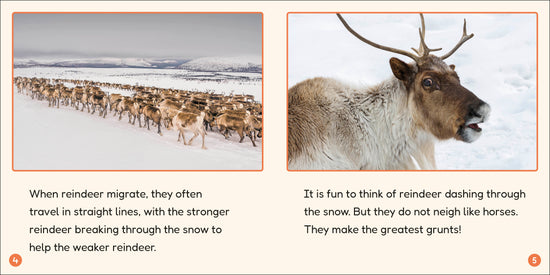 9780241775202-spread-8