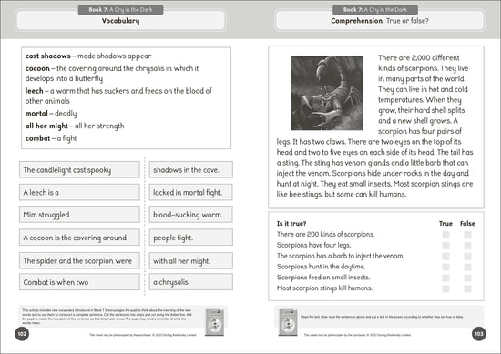 Phonic Books Talisman 1 Activities