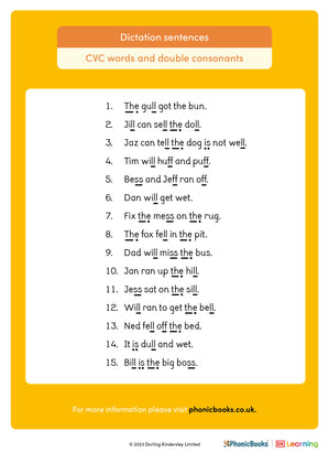 Dictation sentences: CVC words and double consonants - image