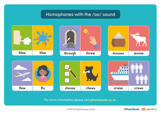 Homophones with the /oo/ sound - image