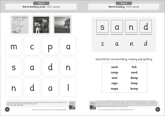 Dandelion World Reading and Writing Activities for Stages 8-15