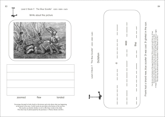 Dandelion Readers Reading and Spelling Activities Vowel Spellings Level 2