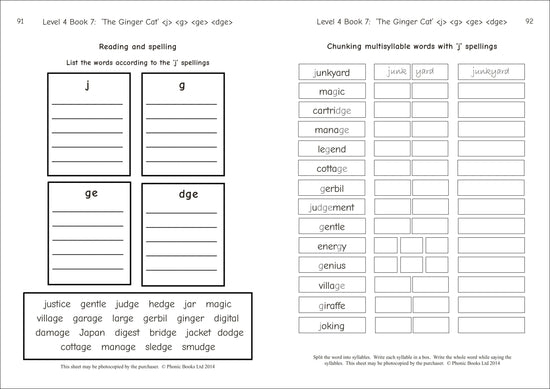 Dandelion Readers Reading and Spelling Activities Vowel Spellings Level 4