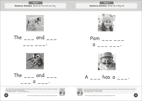 Dandelion World Reading and Writing Activities for Stages 1-7