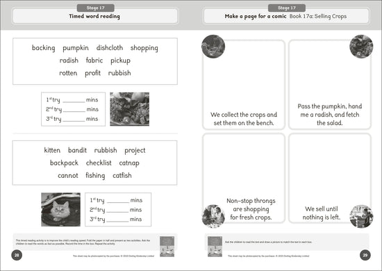 Dandelion World Reading and Writing Activities for Stages 16-20