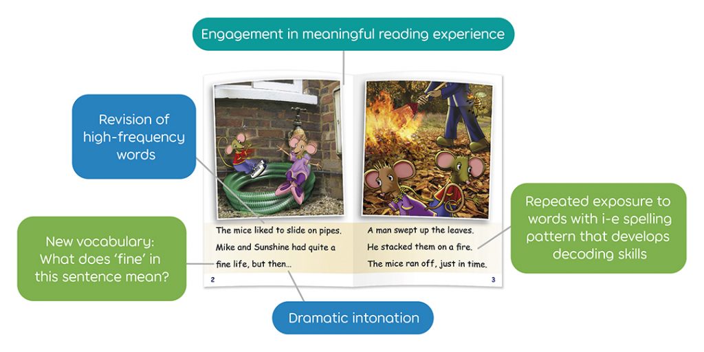 How Decodable Texts Support Reading Fluency - Phonic Books